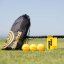 Spikeball Standard Set